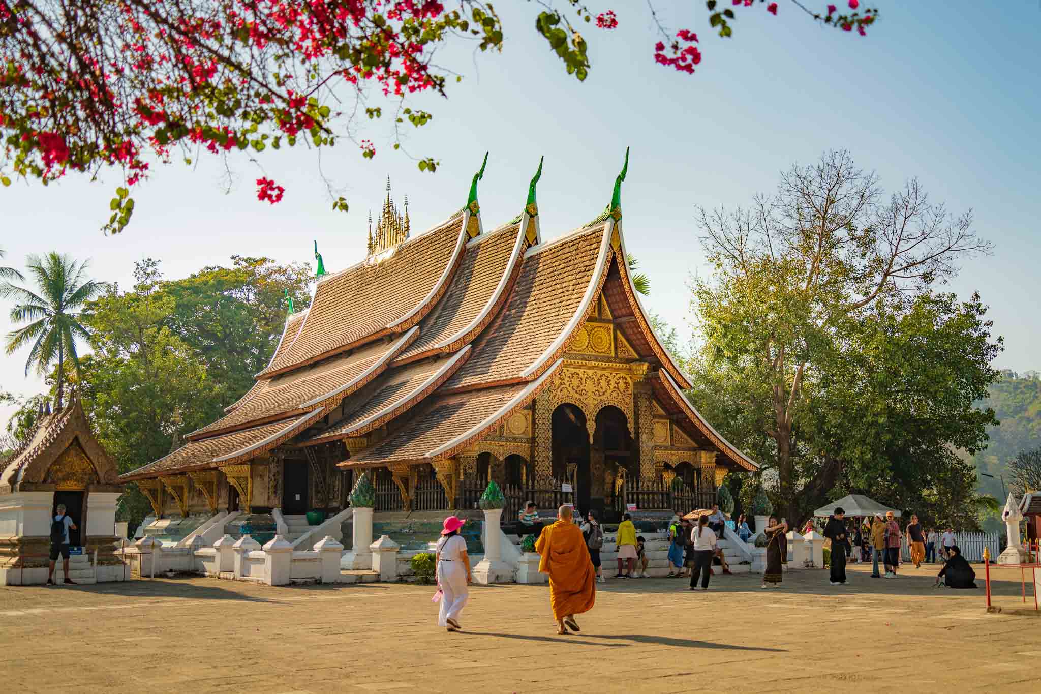 Hình ảnh