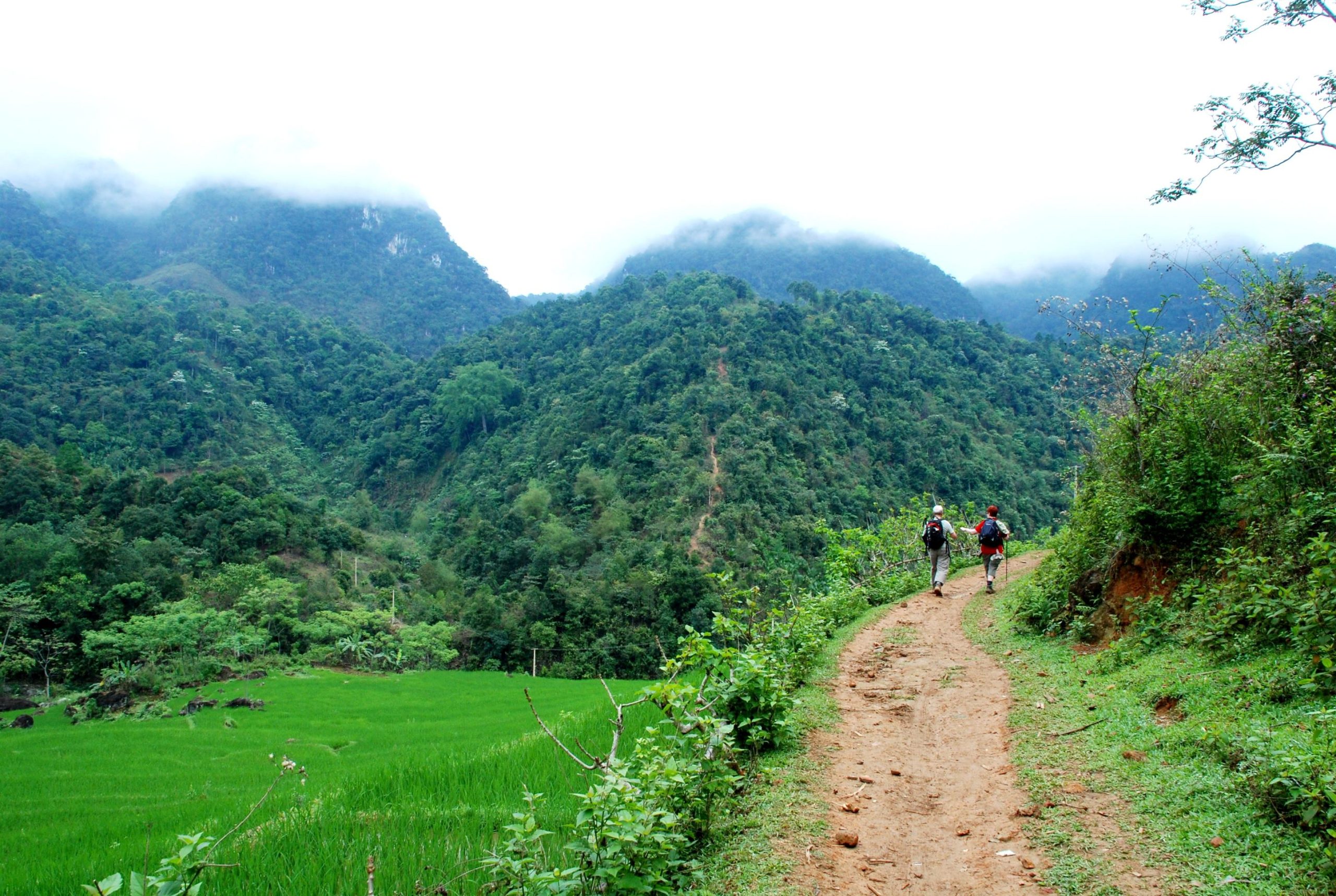 TREKKING & HIKING