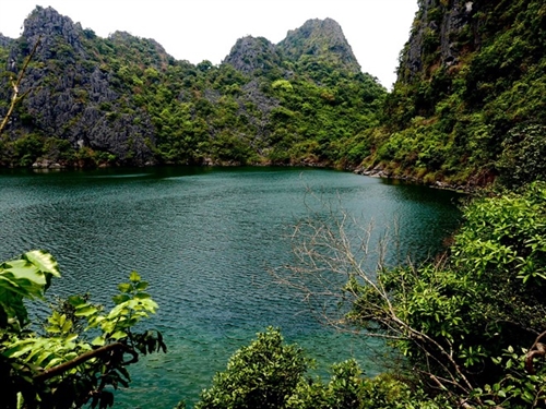 Hình ảnh